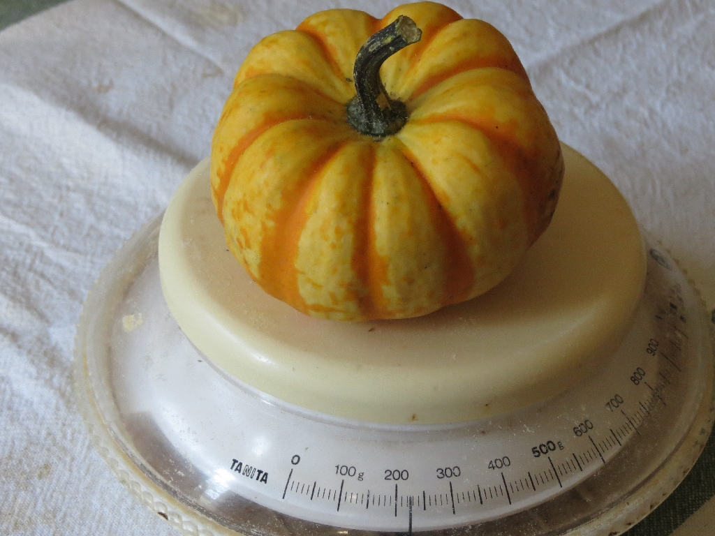 kabocha gram